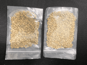 Two bags of unroasted coffee beans.
