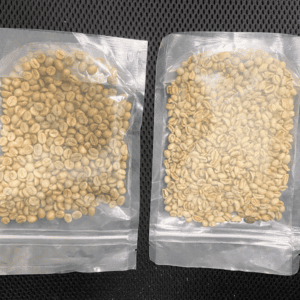 Two bags of unroasted coffee beans.