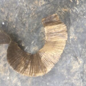 Rare Earths Gold - Contact Us